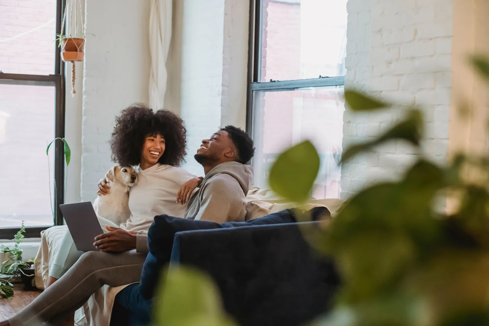 Should You Allow Pets as a Landlord? Pros, Cons, and Pet Policies for Rentals